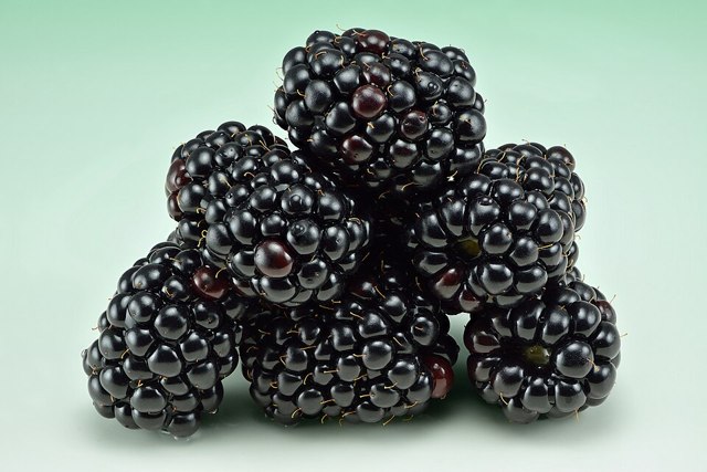 توت أسود Tepcet Bect 300g
