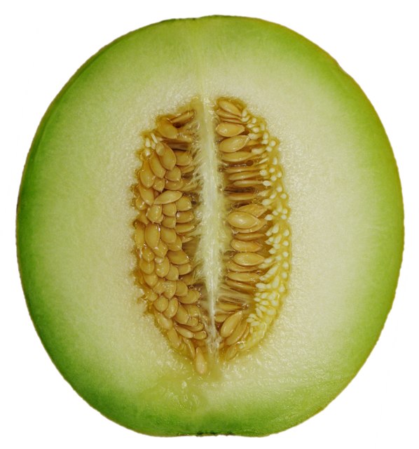Fruit sweet Melon KG