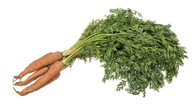 جزر محلي (kg)